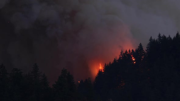 Forest Fire Near Portland Oregon