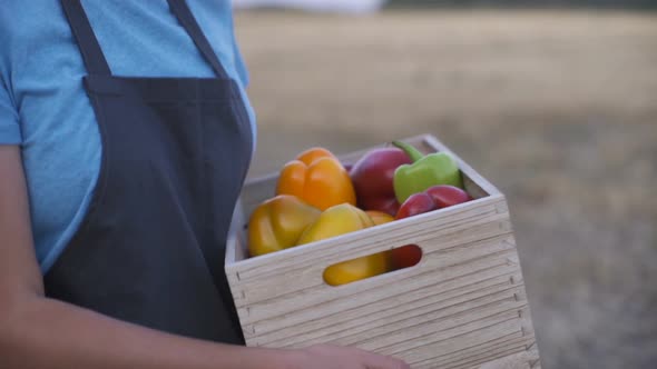 Farmer Holding a Box of Freshly Picked Organic Vegetables