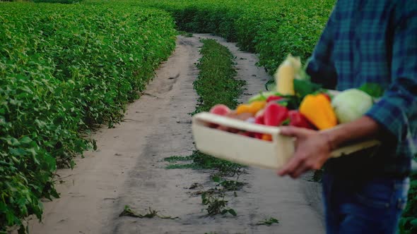 Man and Woman Farmers with a Harvest of Vegetables