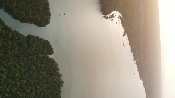 Zanzibar Tanzania  Ocean Shore Covered with Green Thickets Vertical Video Aerial View