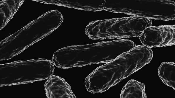 HD Animation floating through microbes, bacterias