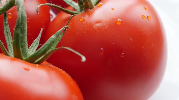 Red tomato wet vegetable with vines on white backround 4K 2160p 30 fps UltraHD video - Slow tilting 