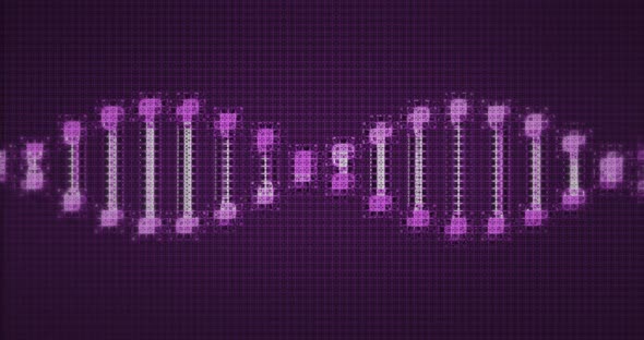 Animation of pixelated digital 3d purple and white double helix DNA alt