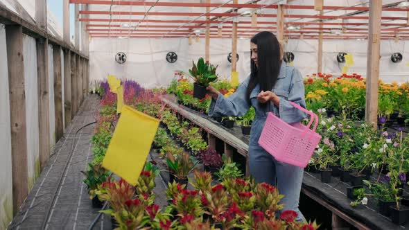 Young Beautiful Woman in Self Catering Supermarket or Organic Store