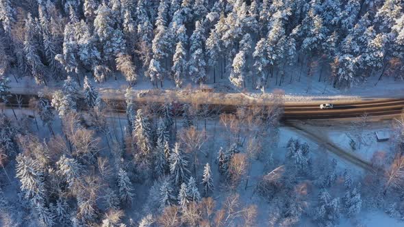 Several Cars Drive Down the Highway in the Middle of a Snowcovered Pine Forest on a Bright Sunny