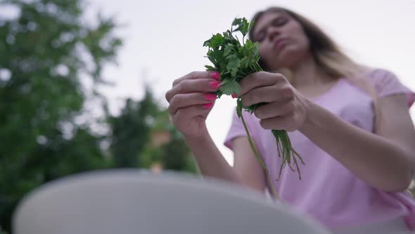 Slim Female Hands Tearing Parsley in Slow Motion with Blurred Young Concentrated Woman at Background