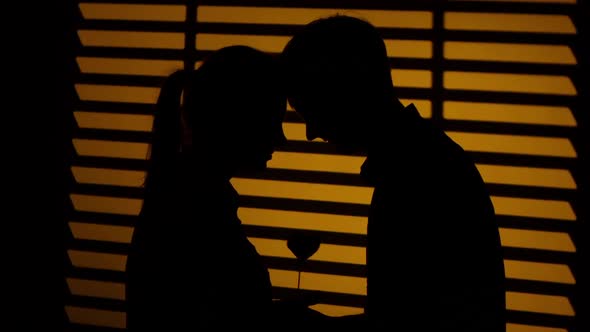 Couple Stands By and Perched Their Heads To Each Other. Silhouette. Close Up