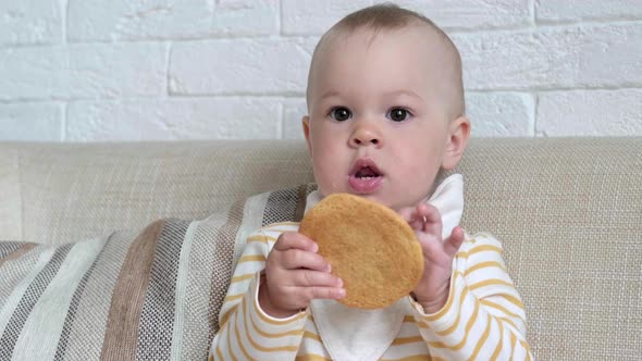 Child Makes Funny Faces Eats Big Tasty Cookie