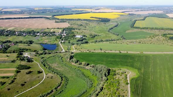 View of a Variety of Agroindustrial Fields with Different Agricultural Plants