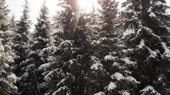 Aerial Landscape of Beautiful Winter Mountains