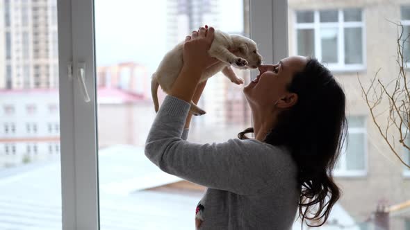 Woman Holding Cute Labrador Puppy Against Window