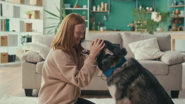 Happy Red Haired Teenage Girl Hugs Strokes Her Dog Plays Looks at the Animal