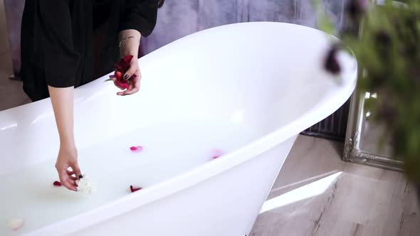 Young Attractive Woman in Black Bathrobe Throwing Flowers to the Bath Tub Filled with Milk Getting