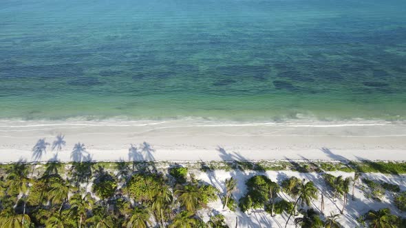 Aerial View of the Beach on Zanzibar Island Tanzania