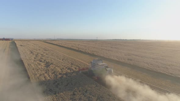 Aerial shot of a combine harvesting wheat