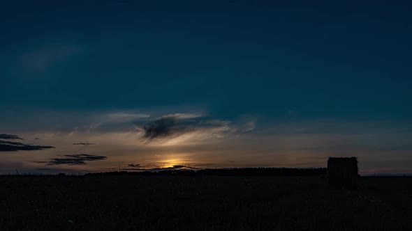 Foggy Sunrise in a Field with a Beautiful Branchy Pine Tree Time Lapse