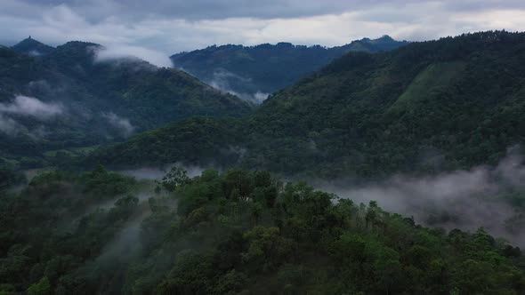 Mountain Slopes with Tropical Vegetation