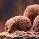 Cocoa Powder Falling on Luxury Homemade Truffle Candies - VideoHive Item for Sale