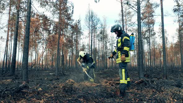 Two Firefighters are Working in the Woods Fire Zone