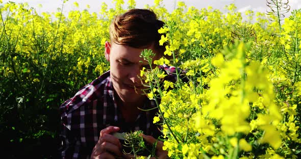 Man taking picture from camera in mustard field