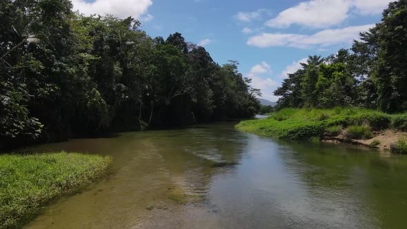 Following a crystal clear crocodile infested creek with lush tropical vegetation along the river bed