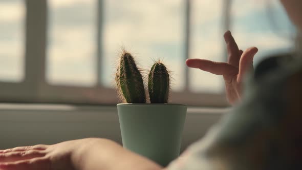 The Hand of a Child Who Touches a Cactus