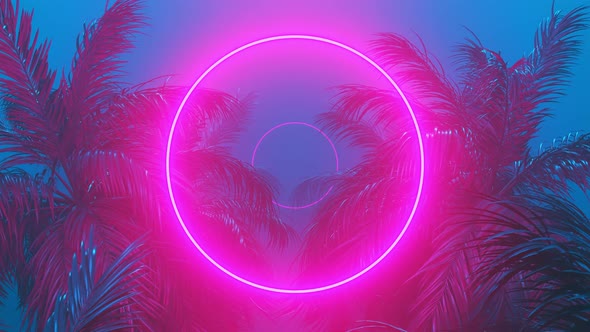 Retrowave Glowing Rectangle Frame Appears in the Tropical Palm Tree Zoom in