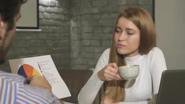 Attractive Businesswoman Discussing Diagram with Her Colleague