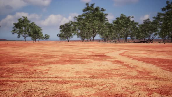 Drought Land Without Any Water