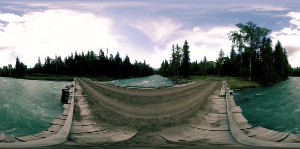 360 VR Virtual Reality of a Wild Forest. Pine Forest, Small Fast, Cold Mountain River. National Park