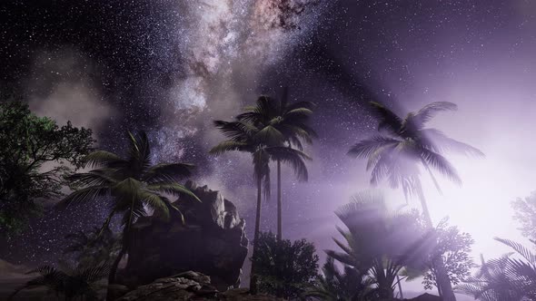 Milky Way Galaxy Over Tropical Rainforest.