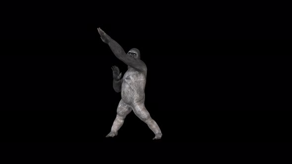 Gorilla Dance 4K Loop alt
