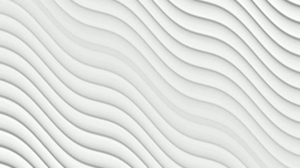 White Background. abstract wave line