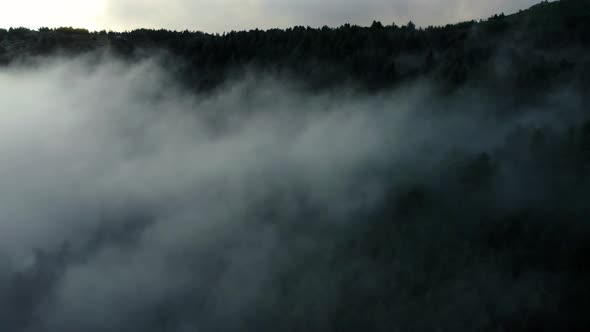 Aerial Drone Fly Over Misty Clouds in Mountains