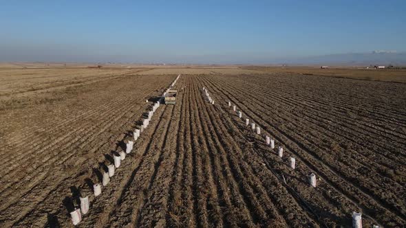 Drone View Harvest at Nigde