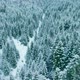 Forest Mountains Snow Cold Winter Wood Hill Frozen Travel Nature - VideoHive Item for Sale