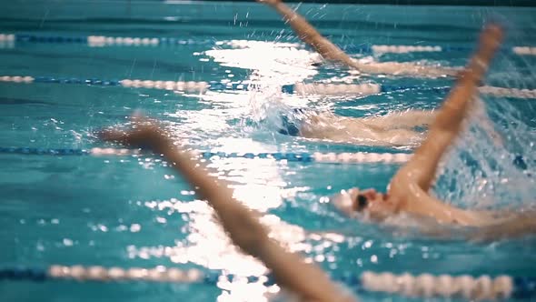 Swimming Competition in the Pool