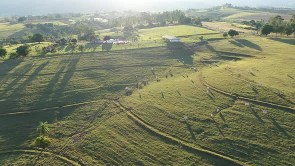 Sunset rural landscape aerial view. Nature scenery