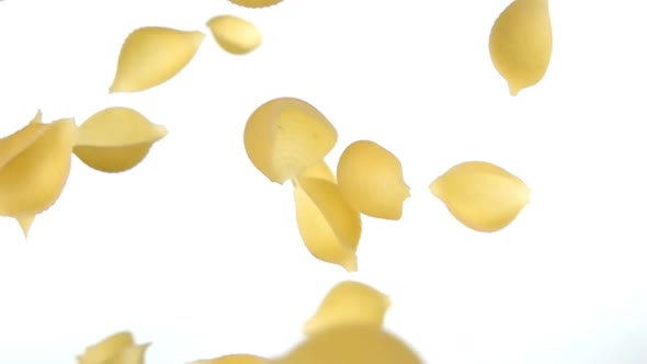 Close-up of Dry Pasta Conchiglie Rigate Flying Diagonally on a White Background