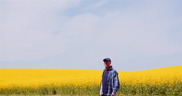 Farmer or Agronomist Walking on Agrculture Field and Looking at Crops