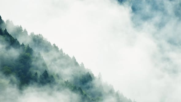 Revealing Dramatic Misty Mountains Copy Paste Background