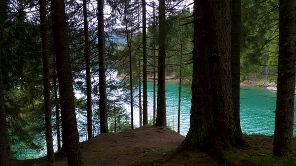 Lake with turquoise water and green mountain forest, Old trees in the mountain lake