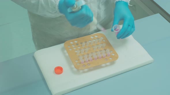 Work on Samples of Substances is Carried Out in the Laboratory alt