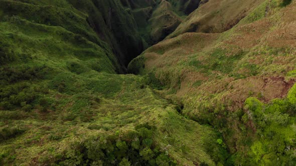 Unusual Looking Tropical Vegetation Covering Rocky Walls of the Cavity, Aerial Shot