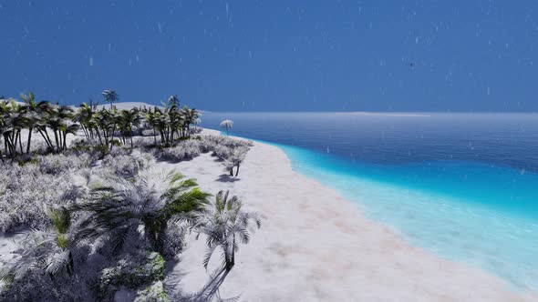 Flying Above Beautiful Tropical Palm Trees Snow Sea Beach 4K