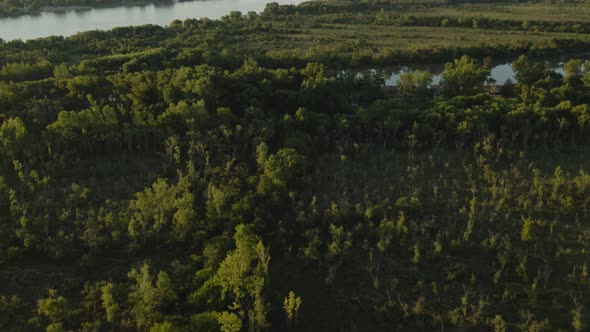 Tilt up revealing Zarate large green fields and forest area and Parana river at golden hour, Entre R