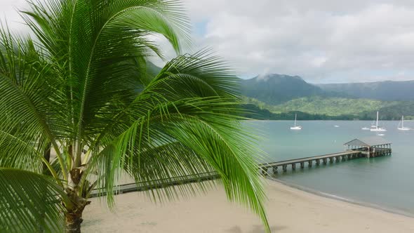 Empty Golden Sandy Beach on Hawaii Aerial Close Up of Lavish Green Palm Tree