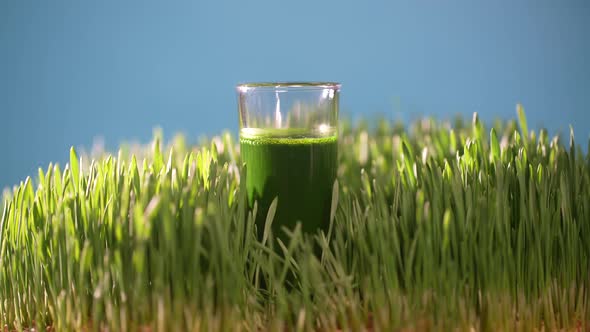 Healthy green detox juice from grass of green germinated wheat grains, rotates