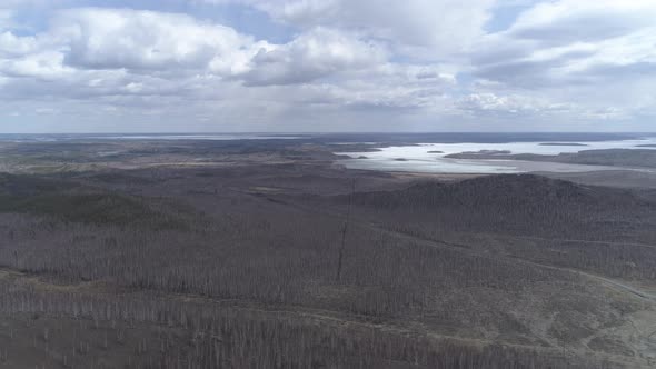 Gloomy forest and lake near the city of Karabash. Russia. Aerial, spring, cloudy 09