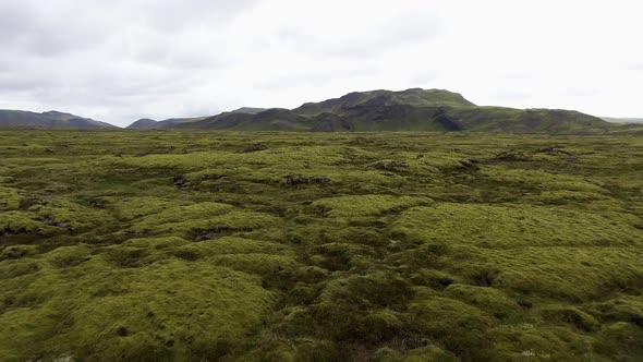 Aerial View of Mossy Lava Field in Iceland